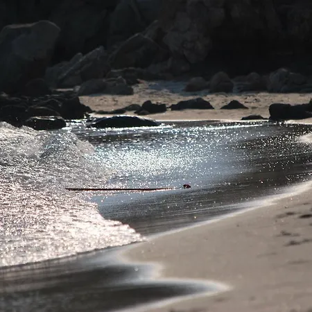 Appartement Appartamenti Golfo Aranci